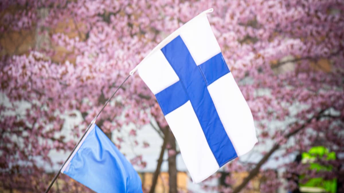 Suomen lippu. 