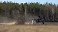 En traktor harvar en åker, en skog finns i bakgrunden.