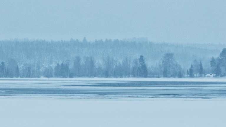 https://images.cdn.yle.fi/image/upload/c_crop,h_2106,w_3744,x_0,y_0/ar_1.7777777777777777,c_fill,g_faces,h_431,w_767/dpr_1.0/q_auto:eco/f_auto/fl_lossy/v1768632229/39-1582824696a39c821500