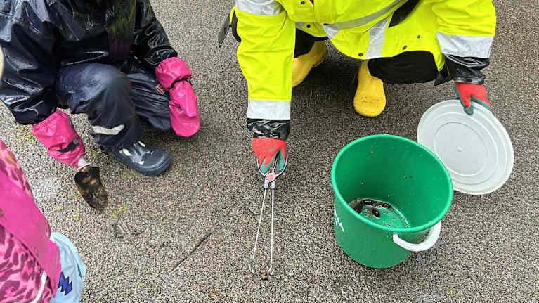 Ihmiset keräävät espanjansiruetanoita vihreään ämpäriin sateisena päivänä.