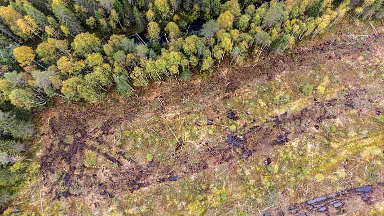 Ilmakuva avohakkuusta ylhäältä päin, kuvassa näkyy hakkaamatonta metsää ja märkiä, vetisiä jälkiä aukolla.