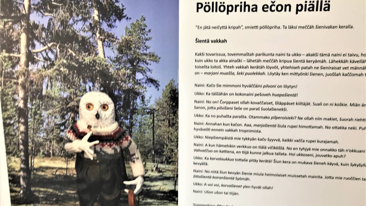 Villapaitaan ja saappaisiin pukeutunut pöllö seisoo metsässä sienikori kädessä. Vieressä tekstiä karjalan kielellä. 