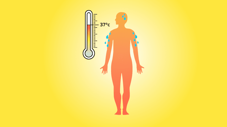 Human body silhouette and thermometer.