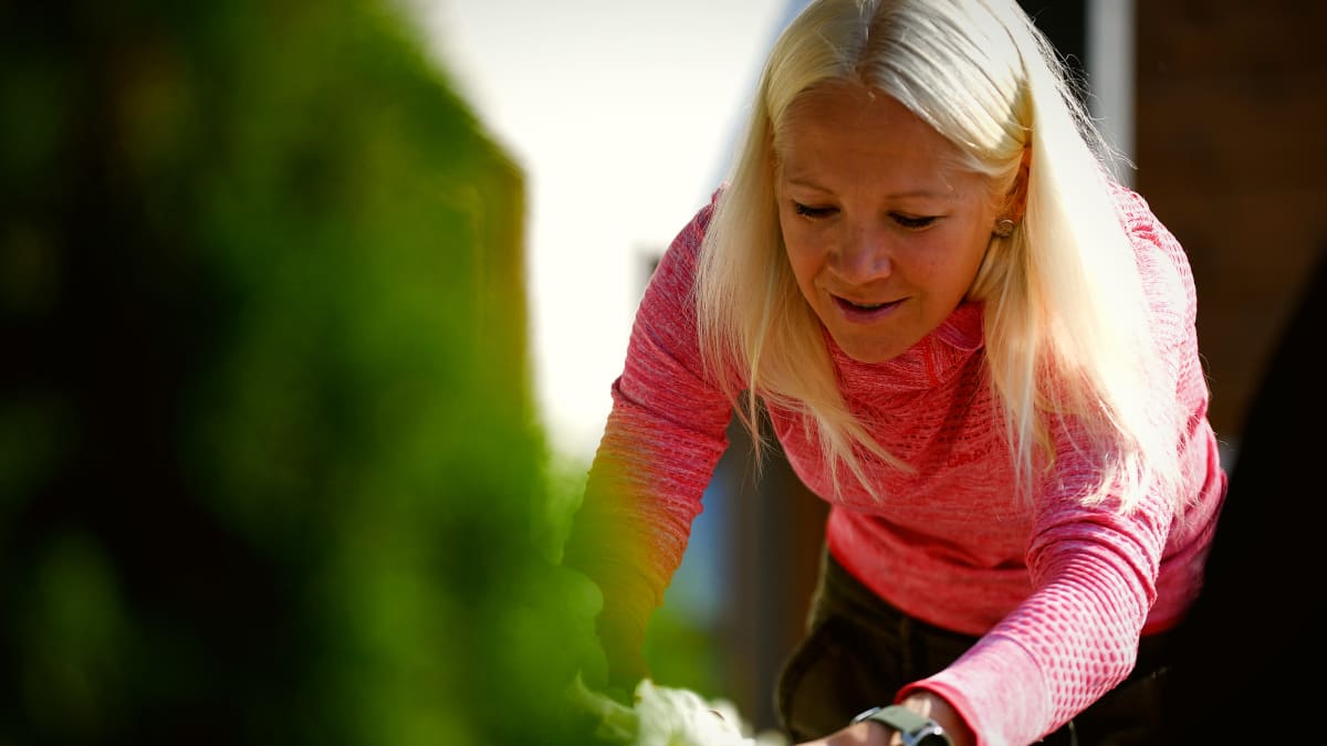 Kaisa rensar vissande blommor petunior hemma på trappan