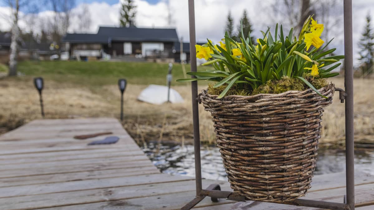 Kesämökki ja laituri.
