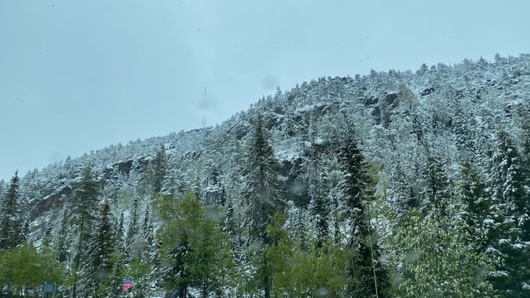 Rukan Juhannuskallio 2.6.2023. Lunta satoi edellisenä yönä.