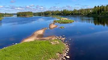 Kesäinen maisema joelta, jossa näkyvät vehreät rannat ja taivaalla liitelevät linnut kirkkaassa sinisessä taivaassa.