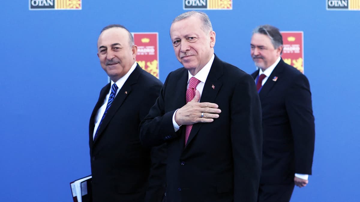 Turkin ulkoministeri ja presidentti kävelevät Naton huippukokouksessa.