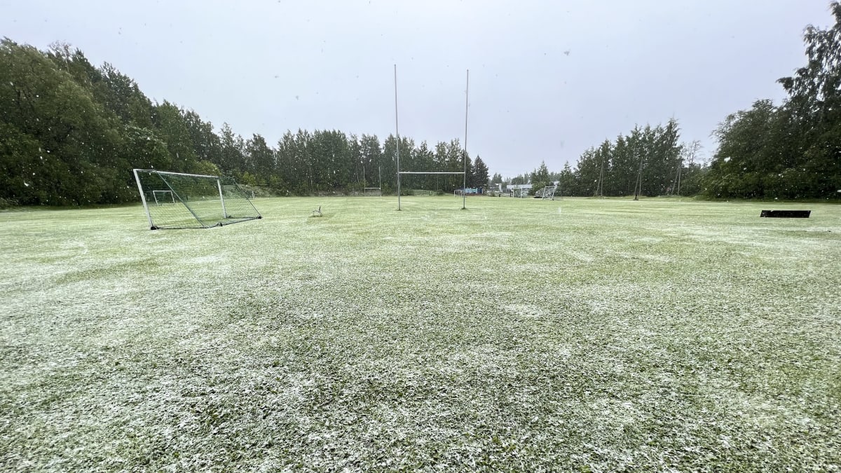 Harapaisen kentällä sataa lunta kesäkuussa 2023.