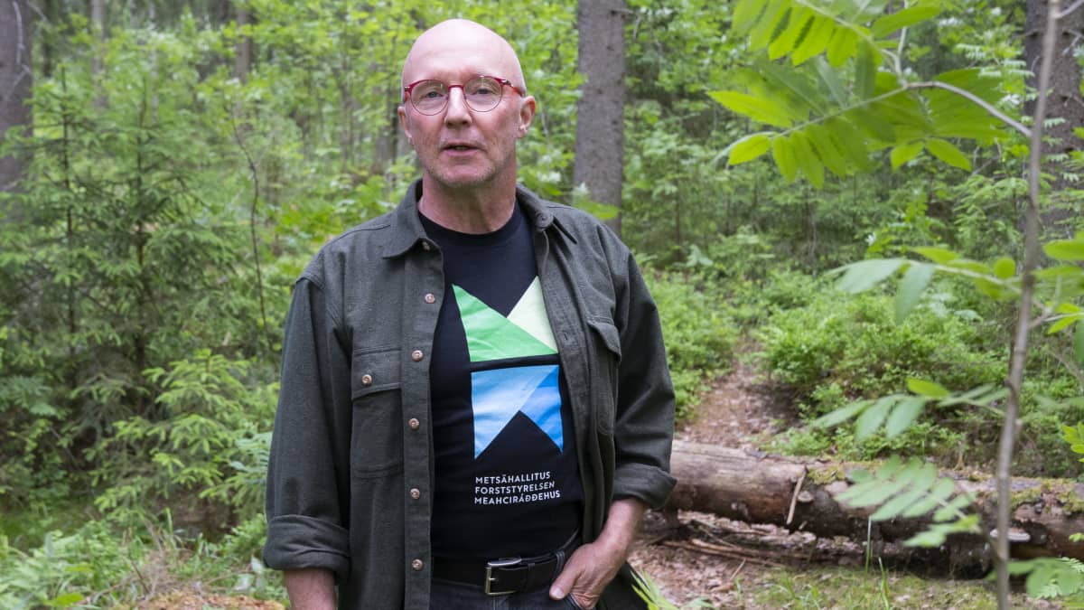 Antti Otsamo, kestävän kehityksen päällikkö. Metsähallitus.