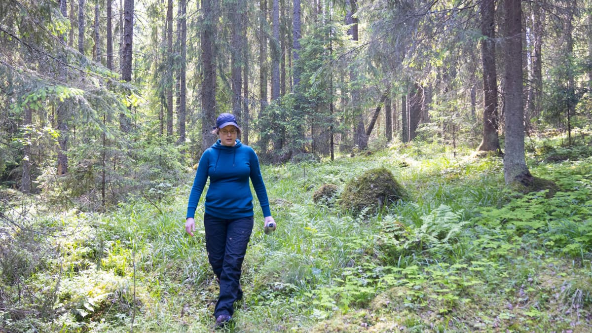 Veera Hovila, "metsävahti"