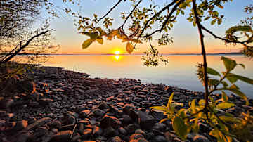 Auringonlasku järven rannalla, jossa lehtipuun oksa kehystää näkymää kivikkoiseen rantaan ja tyynelle järvelle.