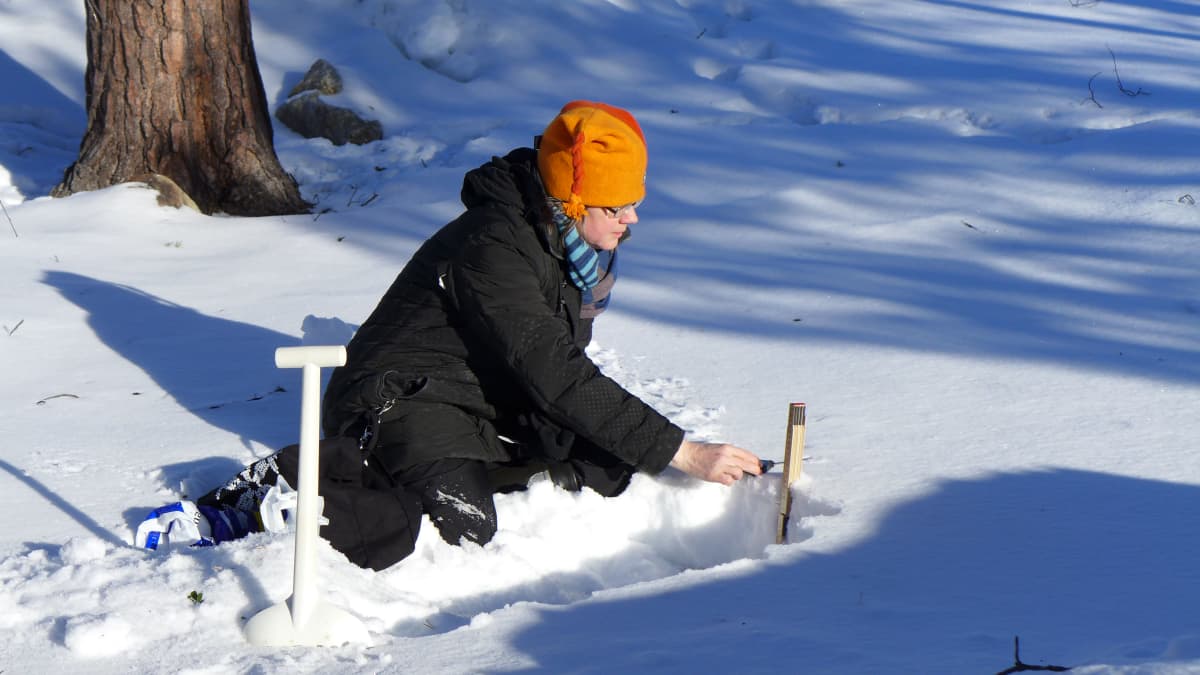 Tutkija mittaa lumihangen lämpötilaa.