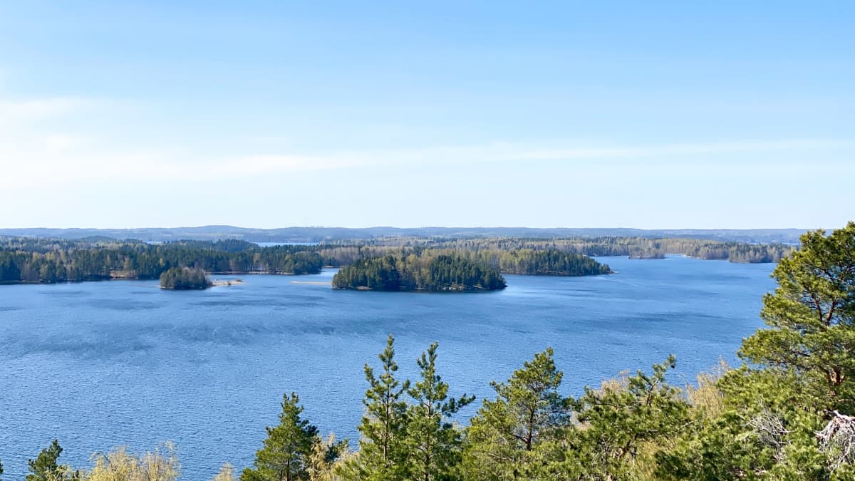 Maisemia Vehoniemen näkötornista Roineen järven suuntaan. Aurinko paistaa ja puut ovat alkaneet vihertää.