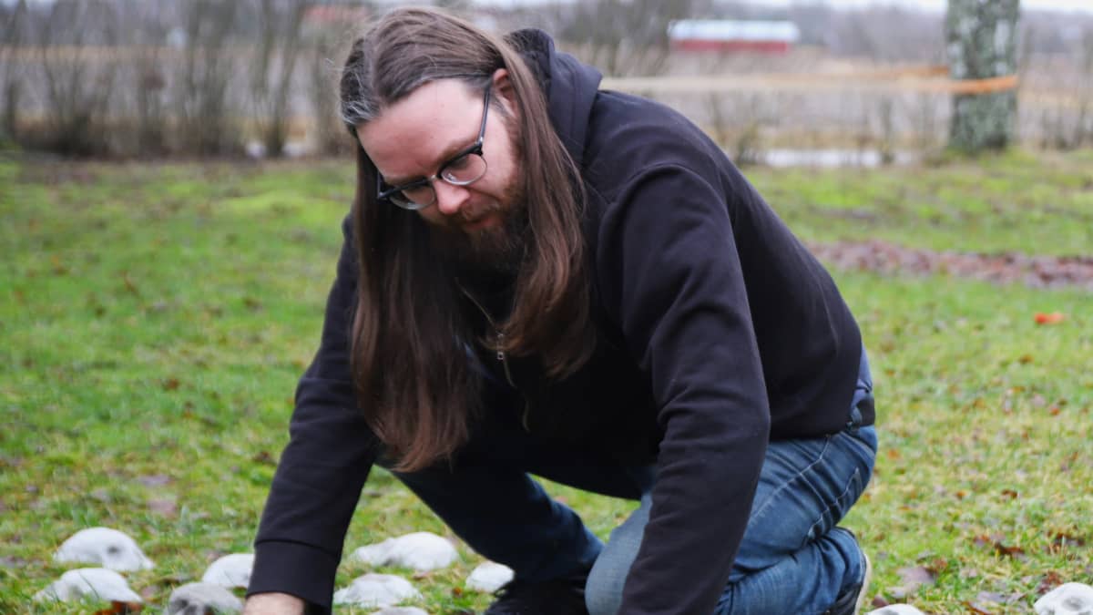 Taiteilija Ilmari Wärri asettelee betonisia pääkalloja nurmikolle.