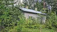 A house nestled behind overgrown trees and bushes.