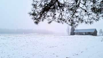Sateisen sumuinen aamu. Peltomaisemaa, lato pellolla, lunta maassa. 