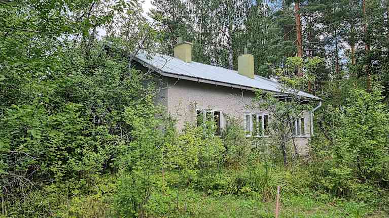 A house nestled behind overgrown trees and bushes.