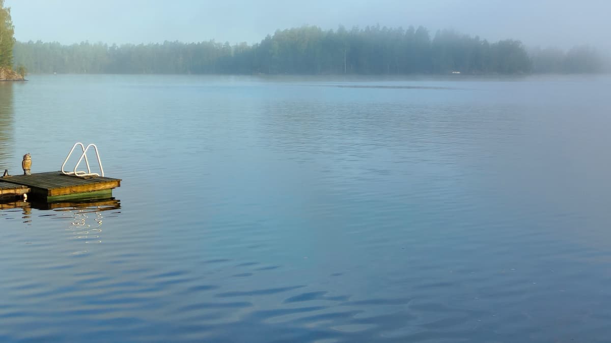 Sumuinen aamu Savitaipaleella. Järvi, laituri ja saari. 