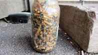 Glasburk fylld med cigarettfimpar
