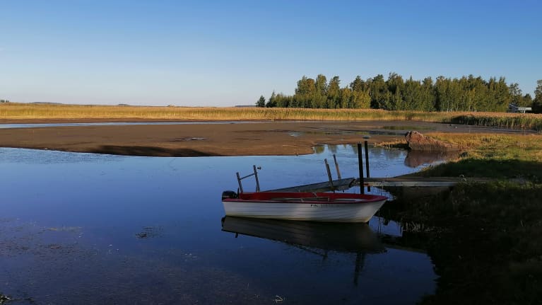 Merimaisema syksyllä Kokkolan Halkokarilla.