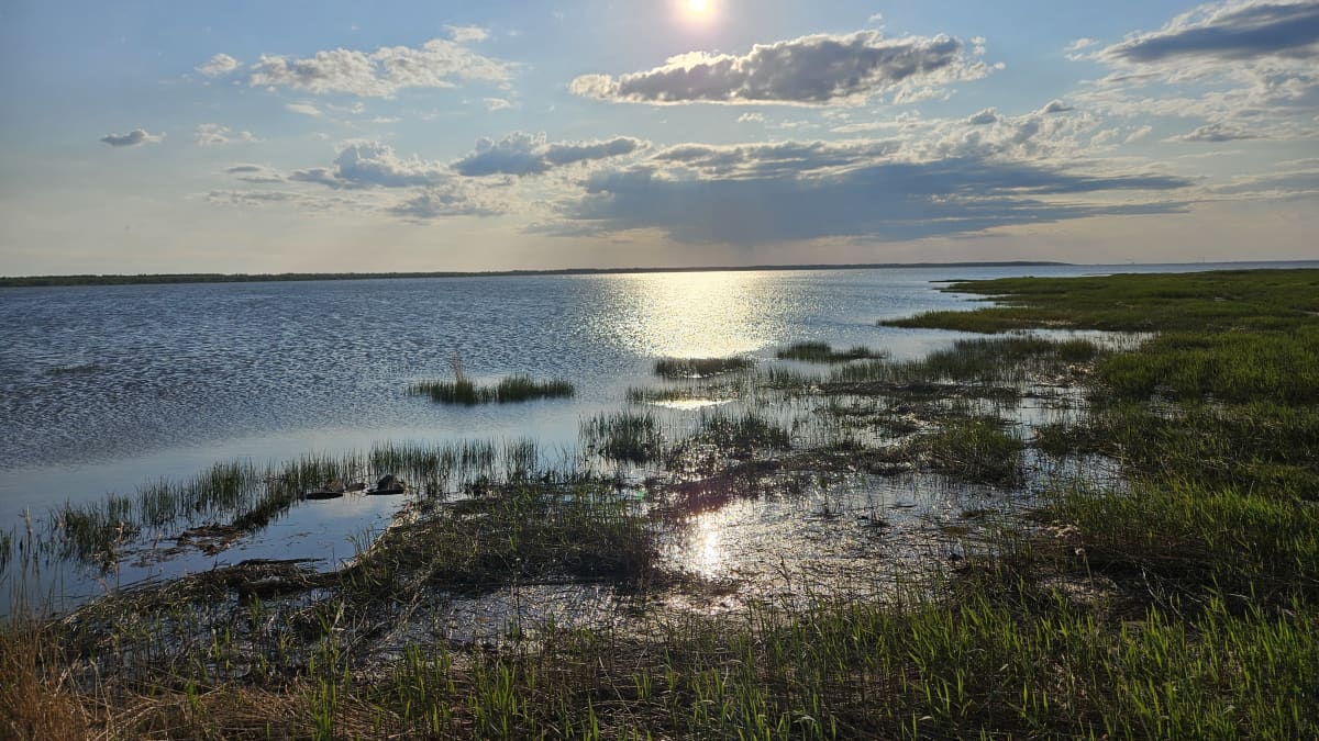 Aurinkoinen aamu  Hailuodossa. Merimaisemaa, ruovikkoa ja pilvenhattaroita.