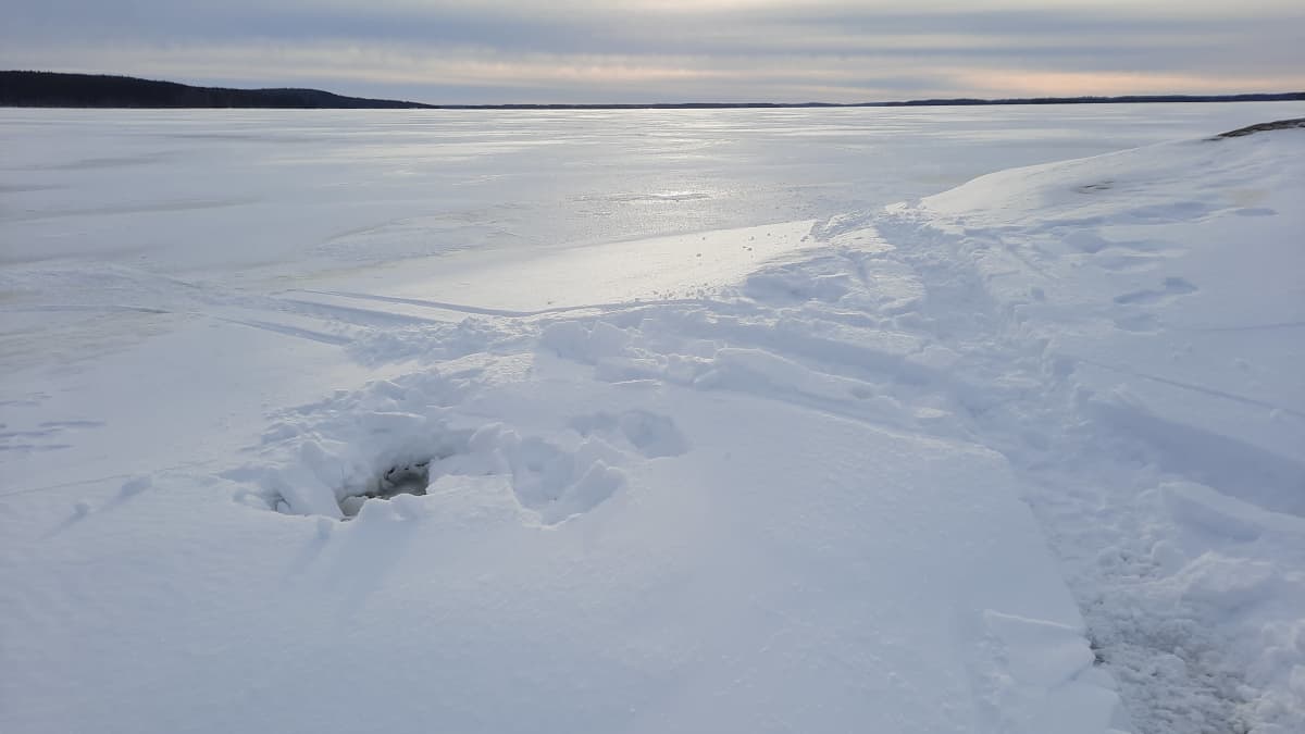 Luminen järvenjää, jossa moottorikelkanjälkiä ja pieni avanto. 