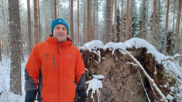 En skogsarbetare (Dan Kullman) iklädd orange jacka står i en snöig tallskog framför en rotvälta.