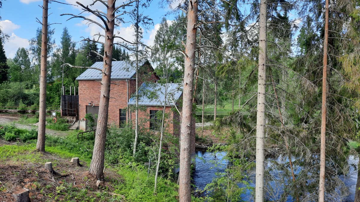 Punatiilinen voimalaitosrakennus metsän siimeksessä