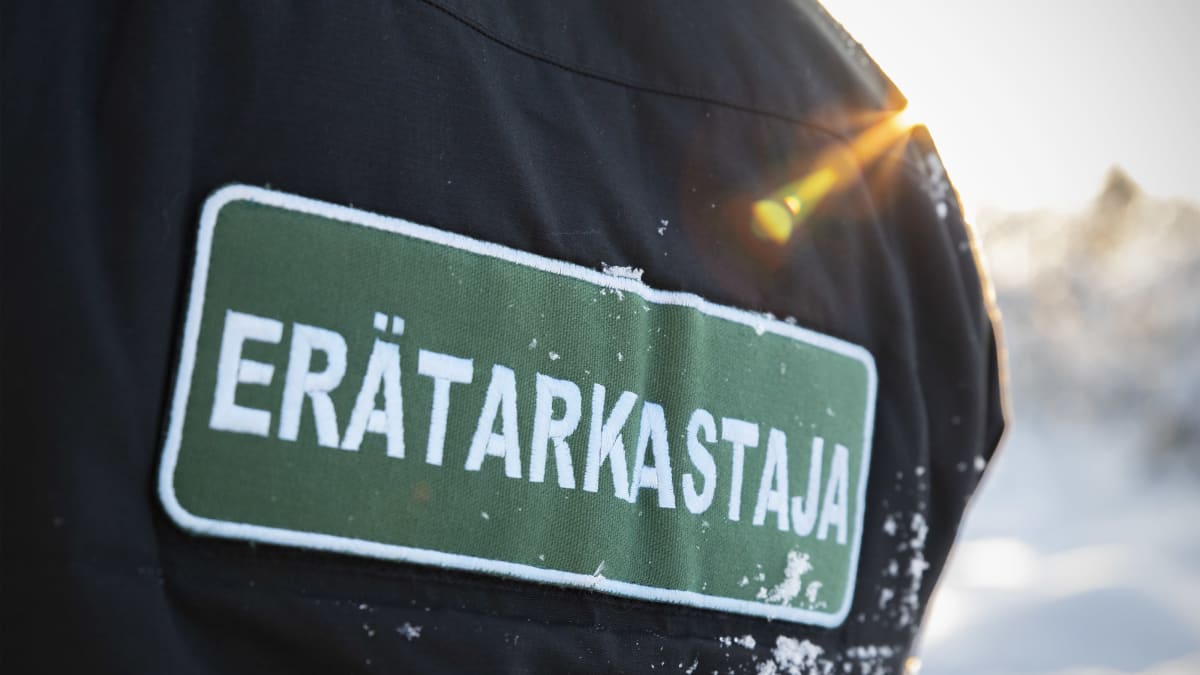 Erätarkastaja-merkki takin selkämyksessä.