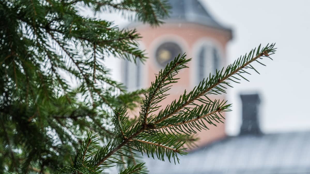 Julgran i förgrunden och rådhus i bakgrunden