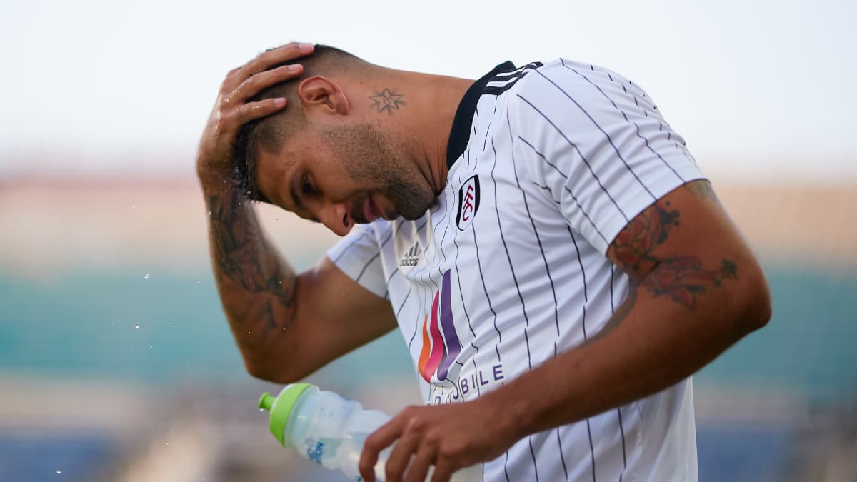 Fullhamin Aleksandar Mitrovic