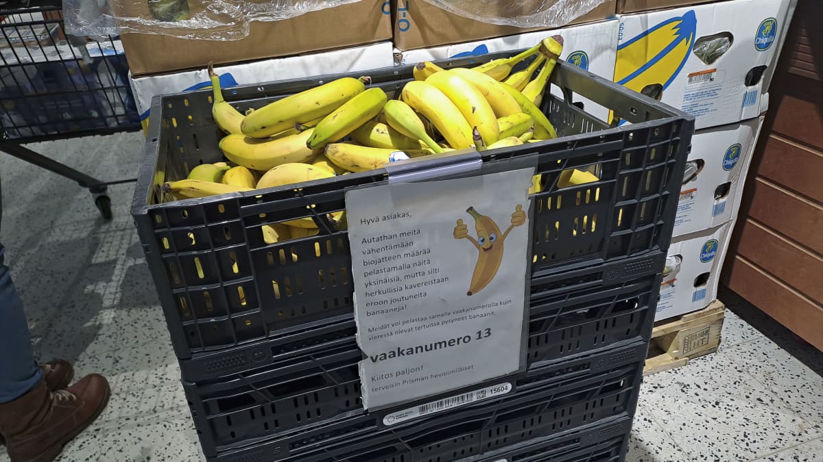 Yksittäisiä banaaneja korissa. Kyltissä lukee: "Hyvä asiakas, autathan meitä vähentämään biojätteen määrää pelastamalla näitä yksittäisiä, mutta silti herkullisia kavereistaan eroon joutuneita banaaneja!"