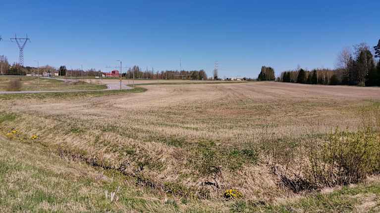 En åkermark i början av maj, i bakgrunden skog, till vänster en väg.