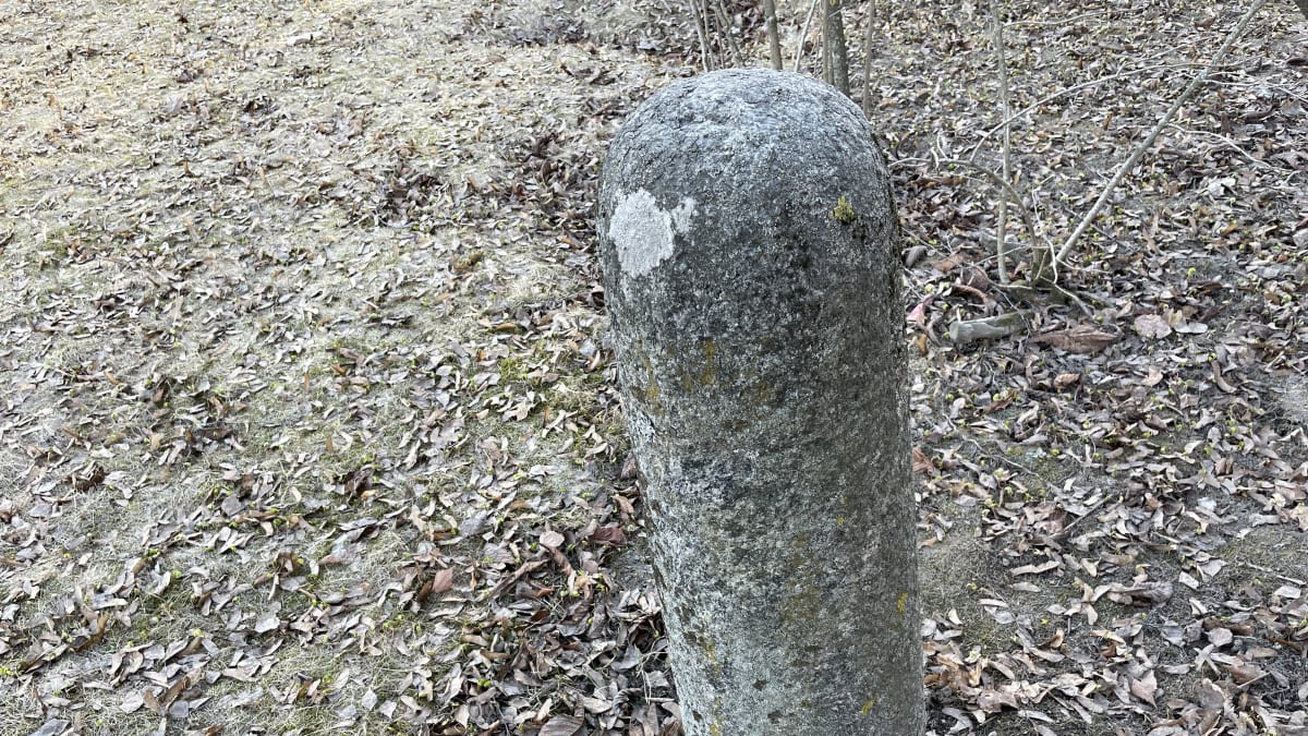 Tämä mystinen kivitolppa löytyy Jyväskylästä Kirjanpainajan puistosta.