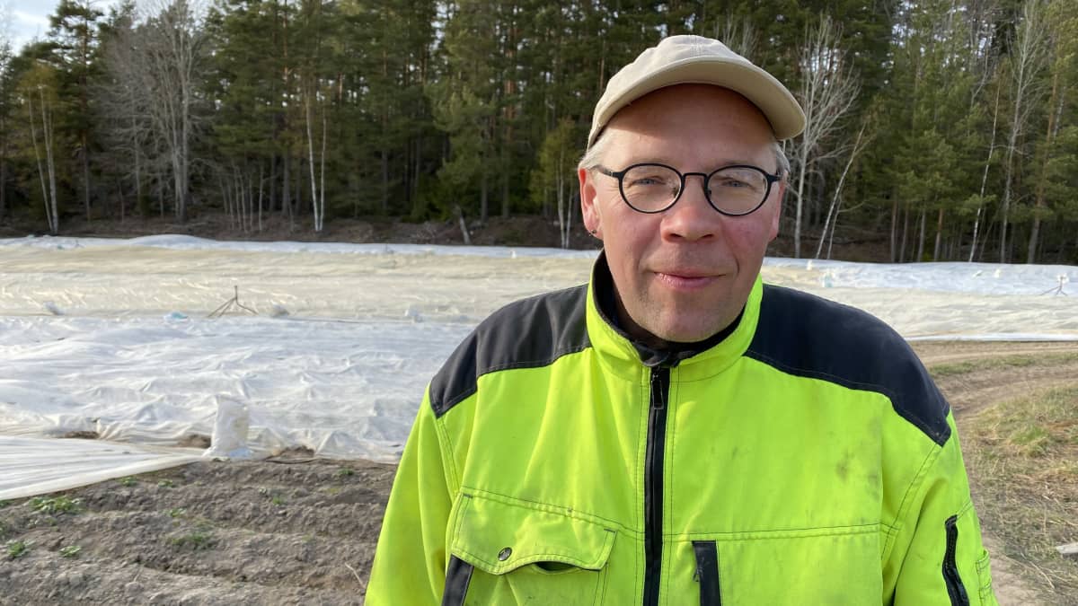 Maanviljelijä Mika Törne varhaisperunapellon edustalla Rymättylässä