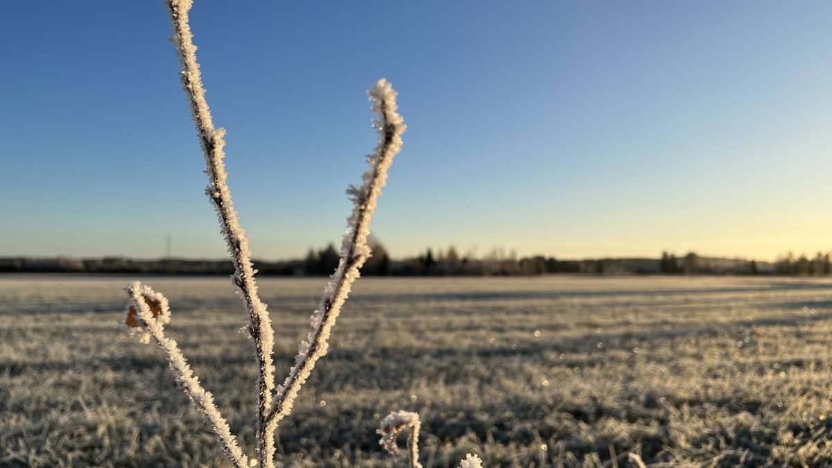 November was colder than usual. Photo: Anne-Pauliina Rytkönen / Yle