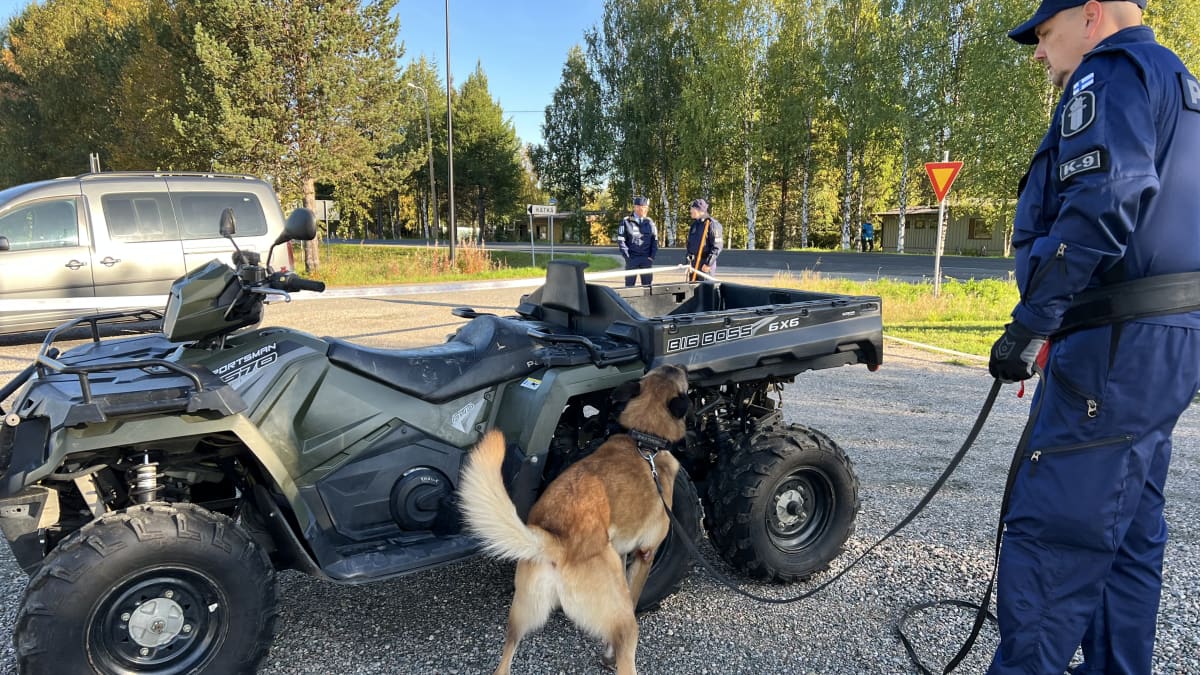 Ylikonstaapeli Tuukka Pettersson ohjaa Jura-koiraansa huumekoirien SM-kisojen ajoneuvoetsinnässä.