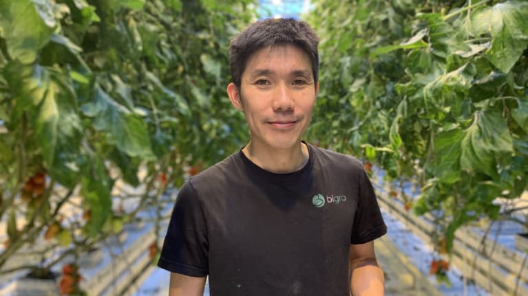 Mansperson av vietnamesiskt ursprung ler in i kameran. I bakgrunden växthusmiljö med synliga tomatplantor.