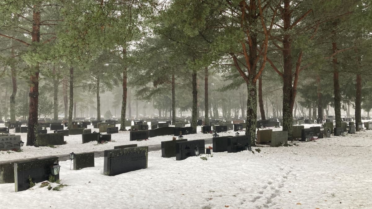 Luminen hautausmaa, jossa näkyy mäntyjä ja hautakivien rivistö.