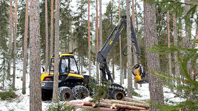 En skogsmaskin som används för att bearbeta träd i en snöbeklädd skogsmark.