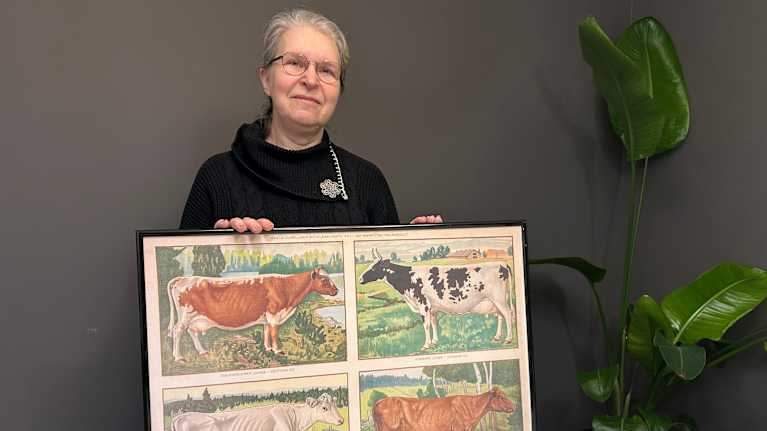 En kvinna håller upp en tavla med illustrationer av olika typer av kor.