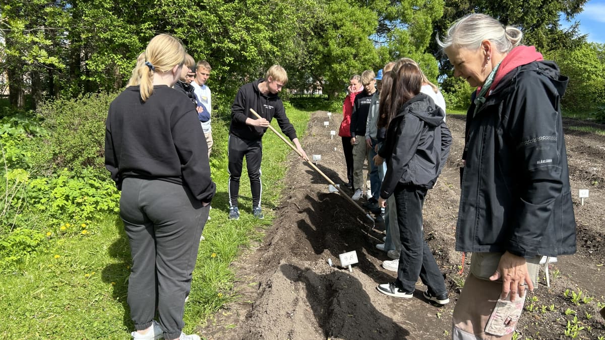 Pellolla on nuoria ihmisiä ja puutarhuri istuttamassa perunoita.