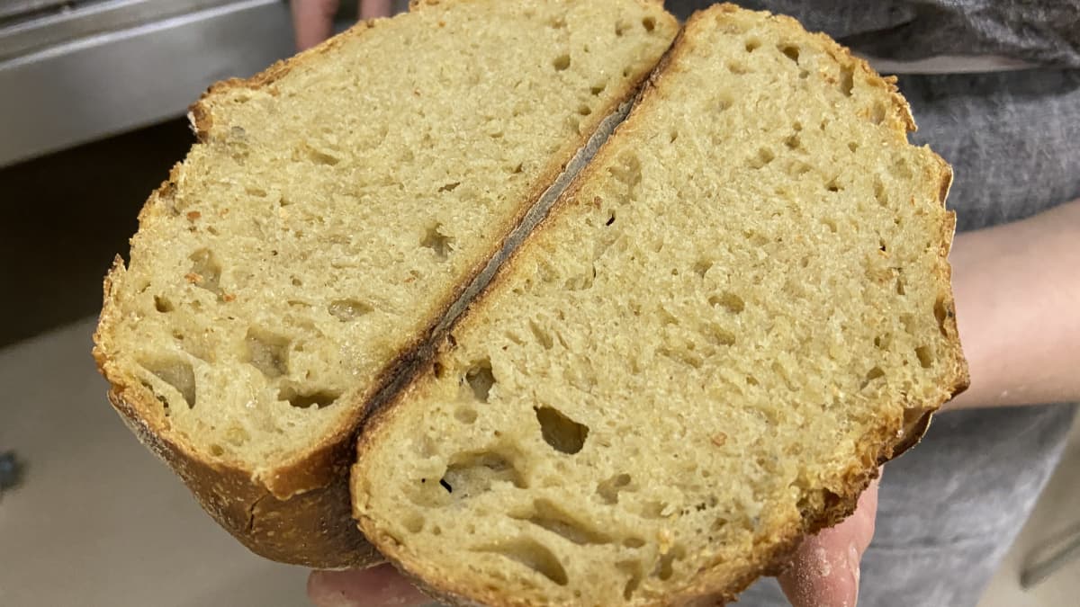 Uunista juuri otettu muinaisviljasta ja hapanjuurella nostatettu vehnäleipä on katkaistu kahtia ja ovat leipurin käsissä. Kuvasta näkyy se että yksijyvävehnällä leivottaessa leivän väri on keltainen. Hapanjuuri tekee leipään huokoisen rakenteen. 