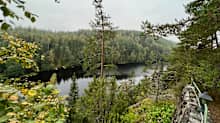 Metsäinen rotkomaisema, taustalla näkyy järven selkää.