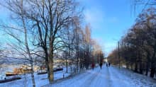 Puiden ympäröimä katu Lahdessa Vesijärven rannassa. Ihmisiä kävelylenkillä kadulla, lunta vähän maassa, aurinko paistaa.