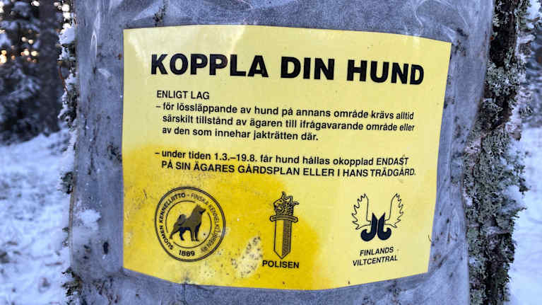 En gul plansch på ett träd där det står att man ska hålla sin hund kopplad. 