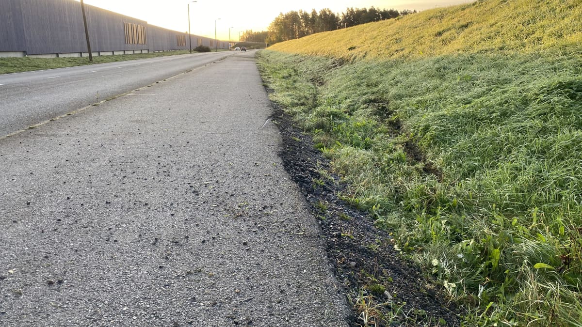 Pitkä tiesuora aamukasteessa ja aamuauringossa.