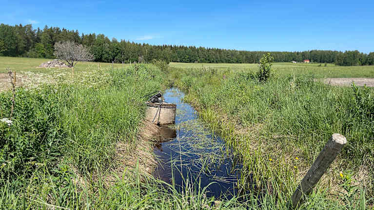 Ett dike vid en åker.
