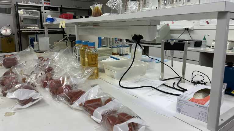 Yleiskuva oululaisen Kotivaran omavalvontalaboratorioon, jossa näkyy tutkittavia meetvursteja muovipusseissa. 